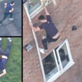 Dramatic footage shows a fugitive driver jumping out a window to evade cops before being wrestled to the ground by a hero police dog.