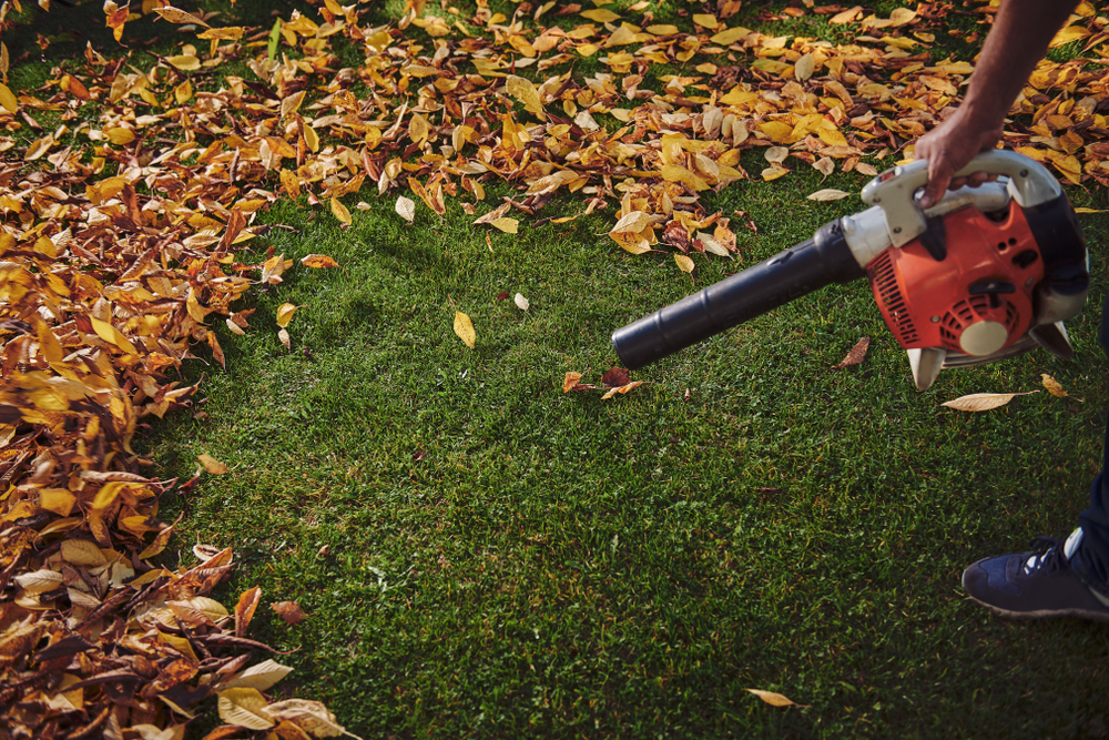 Top cordless deals leaf blowers